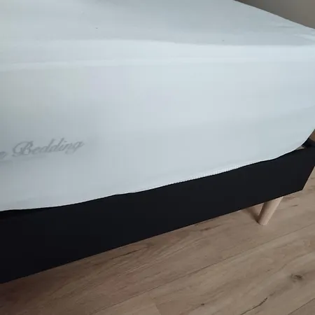 Alternative 招待所 Woustviller